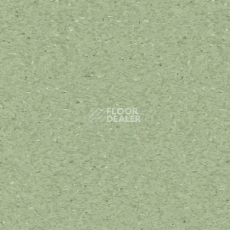 Линолеум Tarkett iQ Granit MEDIUM GREEN 0426 фото 1 | FLOORDEALER